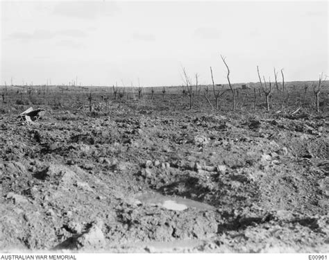 View Of The Woods And No Man S Land At Broodseinde Ridge In The Ypres Sector Over Which The