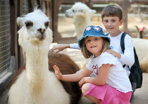 Children And Animals In The Zoo Stock Photo - Image: 13036574