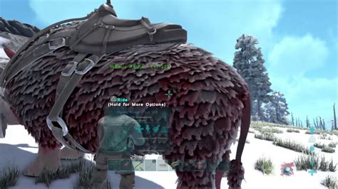 Ark Official Pvp Server Wipe Pt Youtube