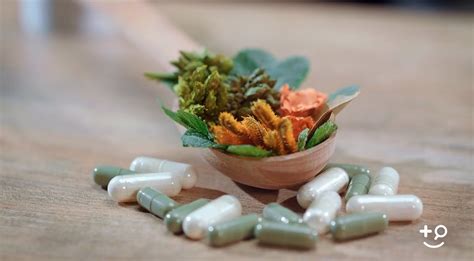 Epilepsy - Herbal Preparations and Other Supplements - Doctorpedia