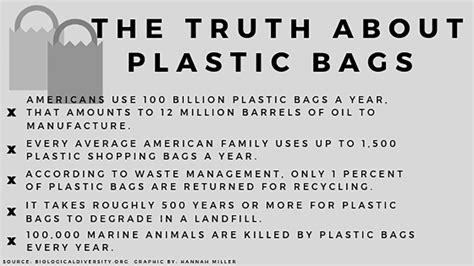 The Truth About Plastic Bags The North Star