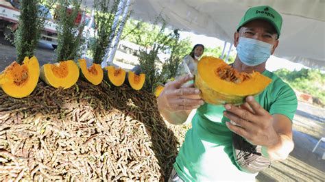 Revelan RD tiene la canasta básica alimentaria más barata de