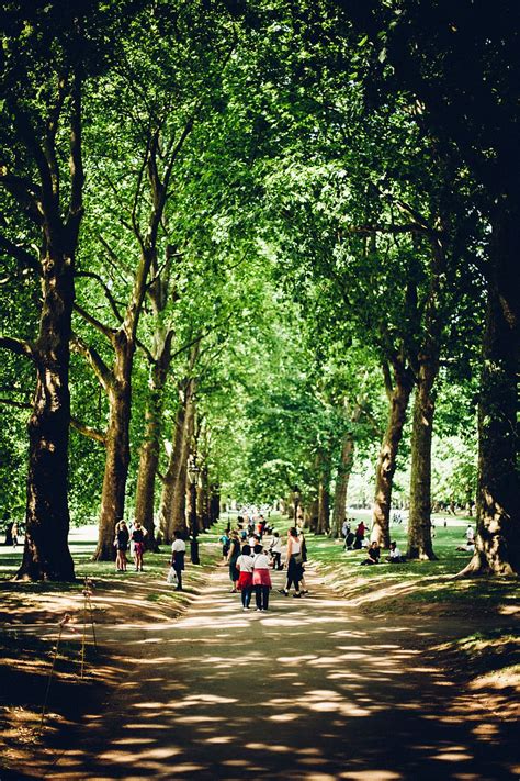 HD wallpaper: trees, park, nature, green, leaves, london, city, street ...