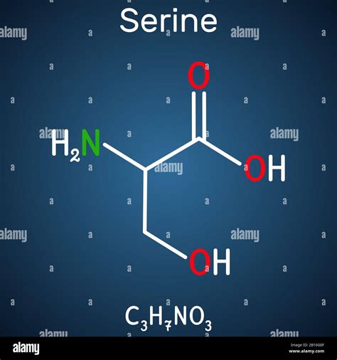 Serina Mol Cula De Amino Cido Ser Se Utiliza En La Bios Ntesis De