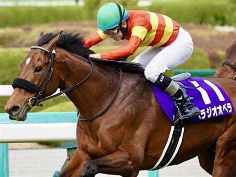 【有馬記念】大阪杯覇者のベラジオオペラ ロードカナロア産駒の初制覇なるかnetkeiba Goo ニュース