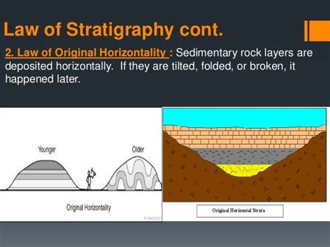 Principles Of Stratigraphy