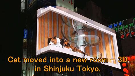 No Cut The Cat Moved Into A New Room 3d Digital Billboard In