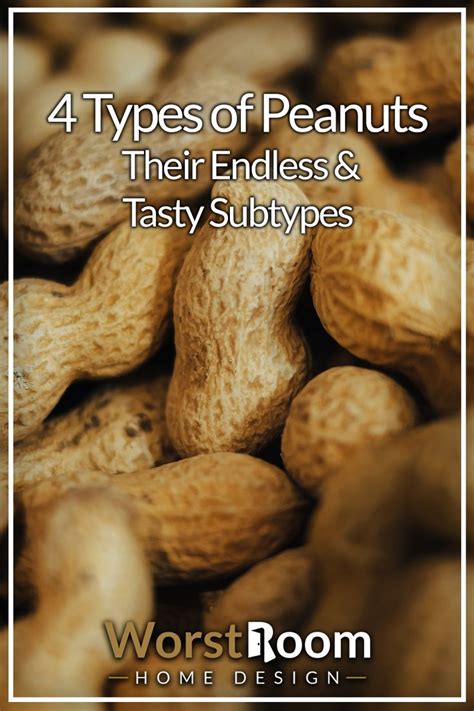 4 Types of Peanuts & Their Delicious Varieties