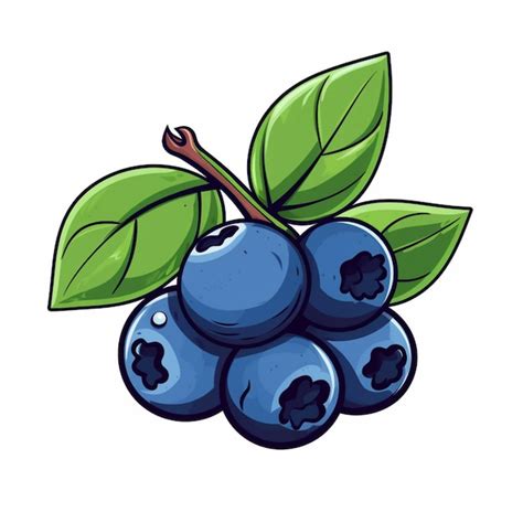 Premium Vector A Drawing Of Blueberries With A Green Leaf On It