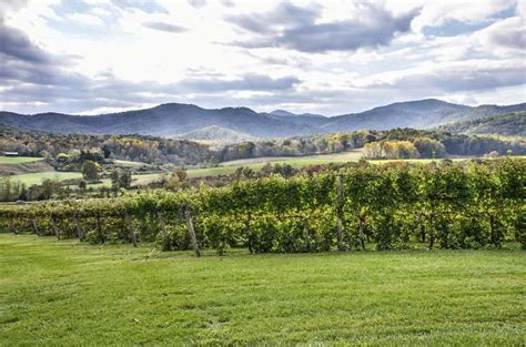 Best Virginia Wineries A Day Trip From Washington D C