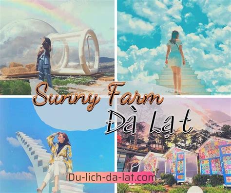 Nông Trại Vui Vẻ Sunny Farm Đà Lạt Nấc Thang Lên Thiên đường Eu