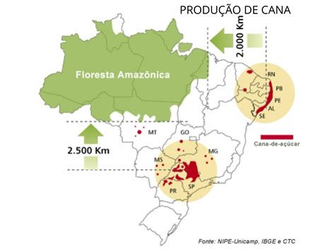 Fronteira agrícola no Brasil Planos de aula 7ano Geografia