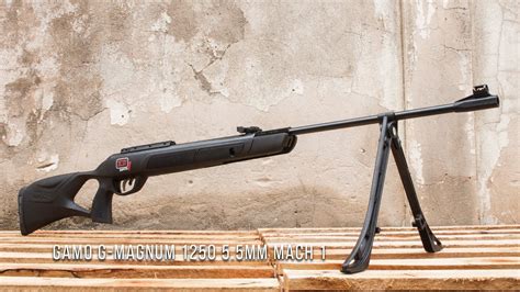 Teste de Desempenho a Carabina de Pressão G Magnum 1250 5 5mm Gamo