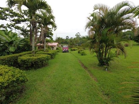 Finca en Venta en San Ramón Alajuela U D 3 000 000 FIV86582