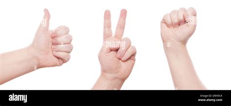 Hand Sign Set Thumbs Up Peace Victory Fist Stock Photo Alamy