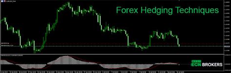 Best Forex Hedging Strategy Forex Hedging Broker 2023