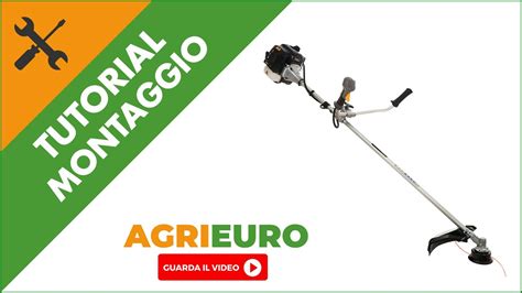 Decespugliatore Alpina Abr D Montaggio Completo Del Decespugliatore