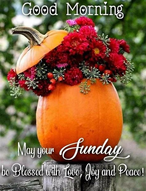 Pin By Cheryl Riley On Fall Week Day Quotes Happy Sunday Morning