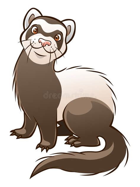 Cartoon Ferret Stock Vector Illustration Of Vector Funny 61905666