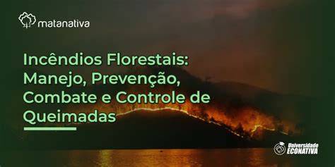 Incêndios Florestais Manejo Prevenção Combate