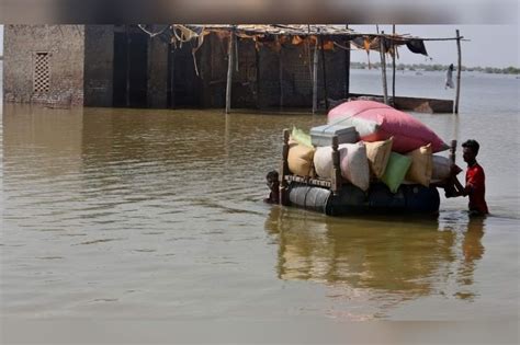 Más de mil 200 muertos por las inundaciones en Pakistán El Clarinete