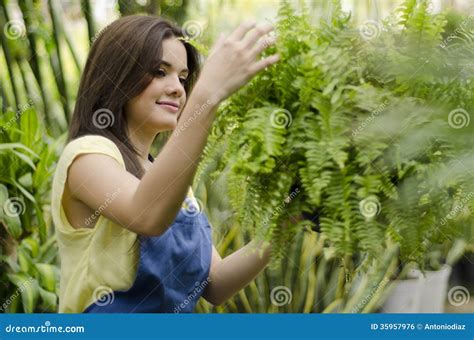 照料植物 库存照片 图片 包括有 关心 采取 工厂 逗人喜爱 显示 苗圃 绿色 女孩 妇女 35957976