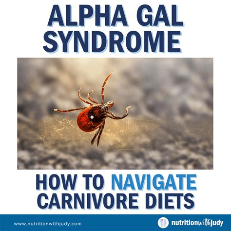 Alpha Gal Syndrome Nutrition With Judy Holistic Wellness