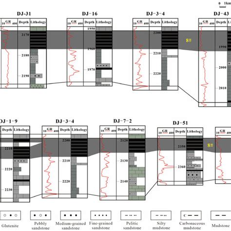 Stratigraphic Profile Showing Distribution Characteristics Of The 8