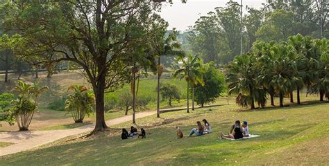 Melhores Pra As Em Sp Para Um Passeio Em Fam Lia Tegra Blog Tegra