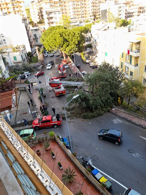 Messina Crolla Un Grosso Albero A S Licandro Ora Si Cerca Di Capire