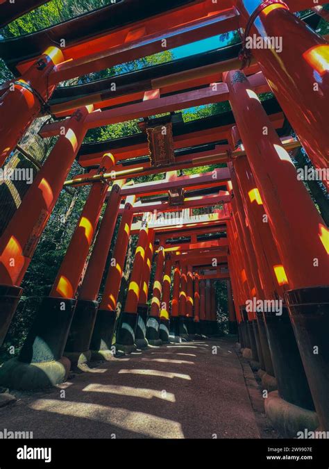 A Beautiful Tunnel Made Of Torii Gates Kyoto Japan Stock Photo Alamy