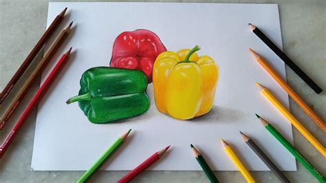 How To Draw Capsicum Bell Pepper Drawing With Coloured Pencils Youtube