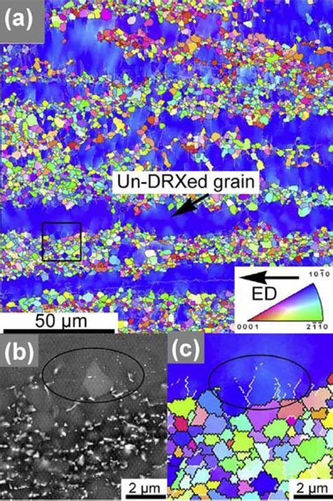 EBSD IPF Maps And SEM Image Of Hot Extruded Mg 11 7Gd 4 9Y 0 3Zr Alloy