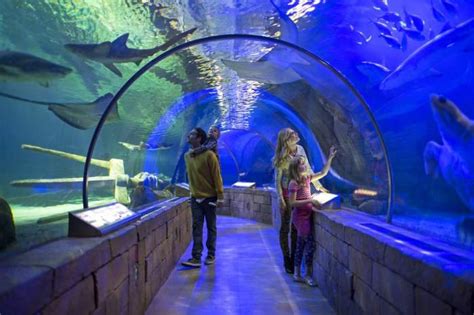 16 Things To Do At Mall Of America Besides Shopping