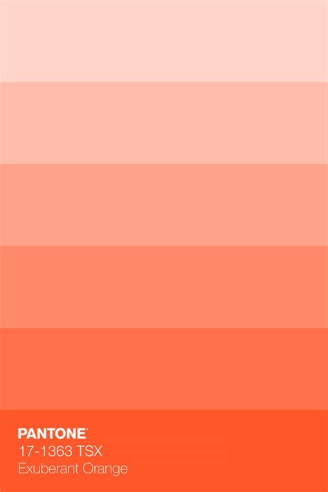 Pantone Tsx Exuberant Orange Colour Tint Pantone Color Chart