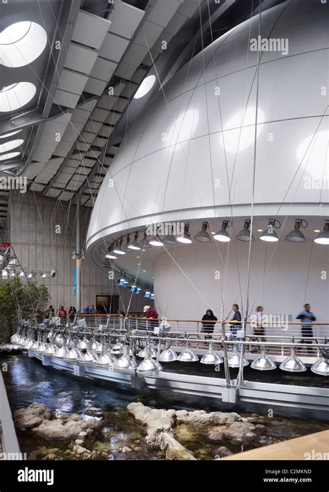 california academy  sciences interior  water feature stock photo