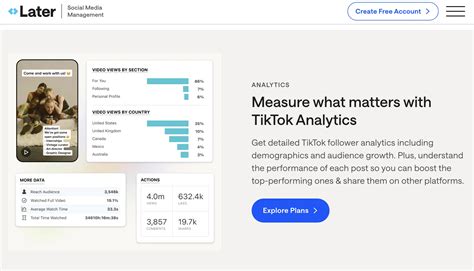 Tiktok Analytics Tools That Do The Math For You Vii Digital