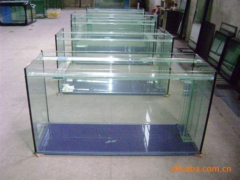 Custom Fish Tanks Aquariums