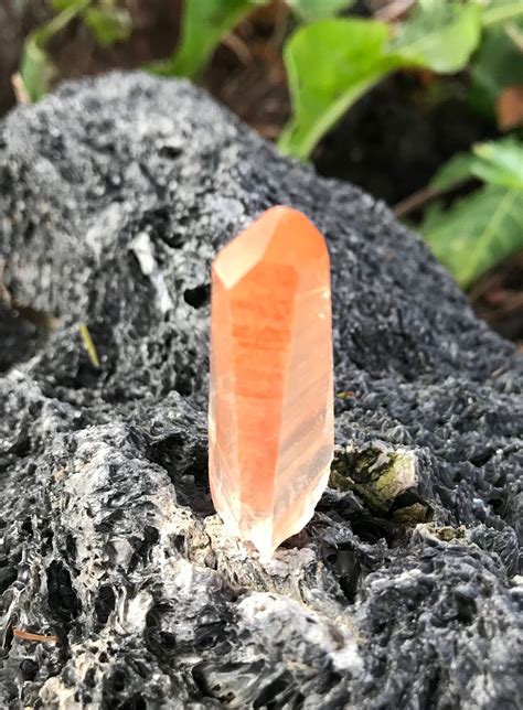 Reserved For B Lemurian Seed Quartz Crystal Raw Orange Deep