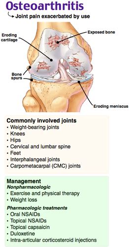 Ortho Rheumatology Flashcards Quizlet