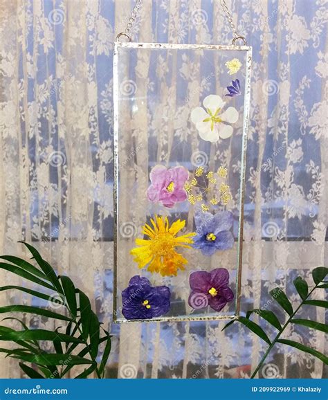 Framed Pressed Flowers In Tiffany Technique In Stained Glass Stock