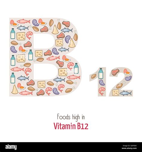 Foods Highest In Vitamin B Composing B Letter Shape Nutrition And