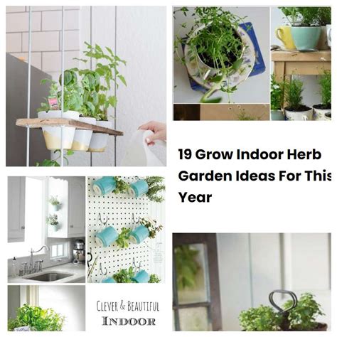 19 Grow Indoor Herb Garden Ideas For This Year Sharonsable