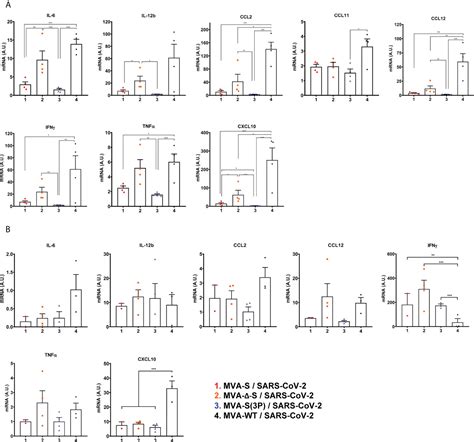 Frontiers Intranasal Administration Of A Single Dose Of MVA Based