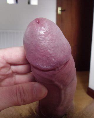 Porn Pics Collections PICTOA PICTOA