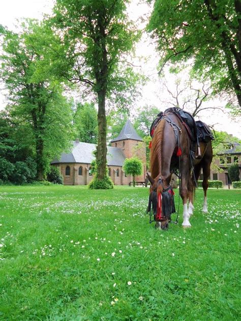 Dorpen En Steden Van Nederland Kootwijk Gelderland