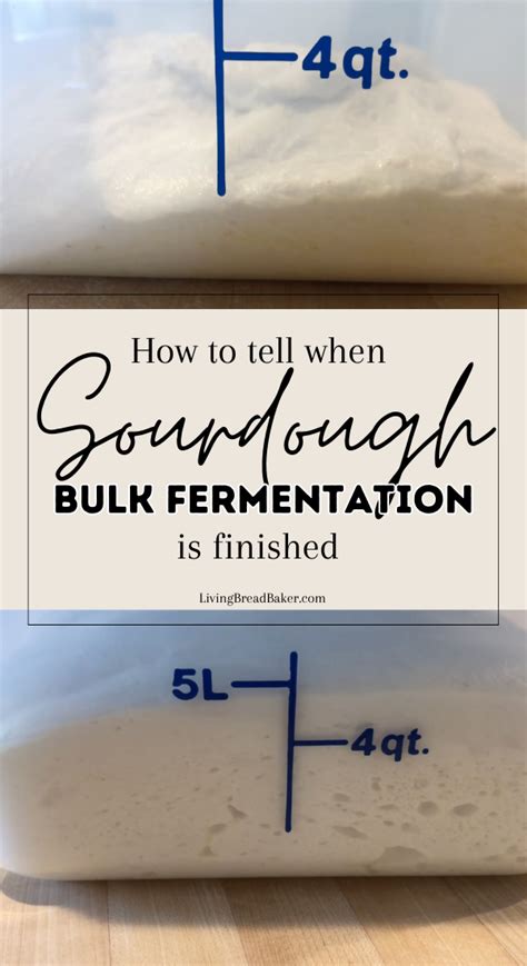 How To Tell When Sourdough Bulk Fermentation Is Finished Fermentation