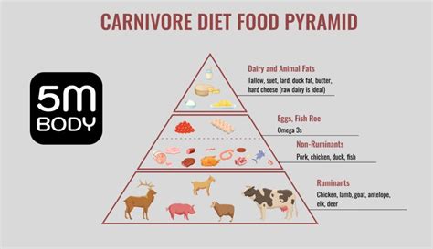 Carnivore Diet Meal Plan 30 Day Free Pdf Menu Expert Guide