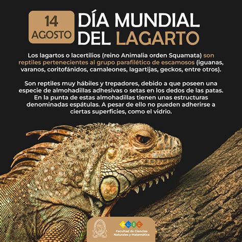 Saludo D A Mundial Del Lagarto