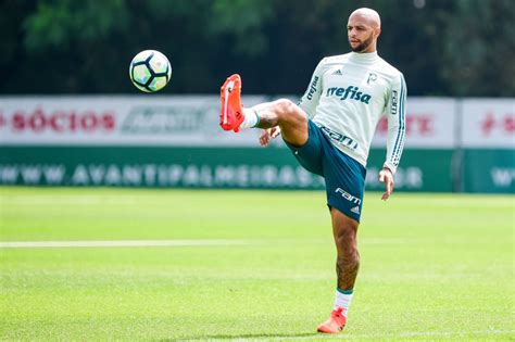 De Olho No Vice Palmeiras Pega Botafogo Em Ltimo Jogo No Palestra